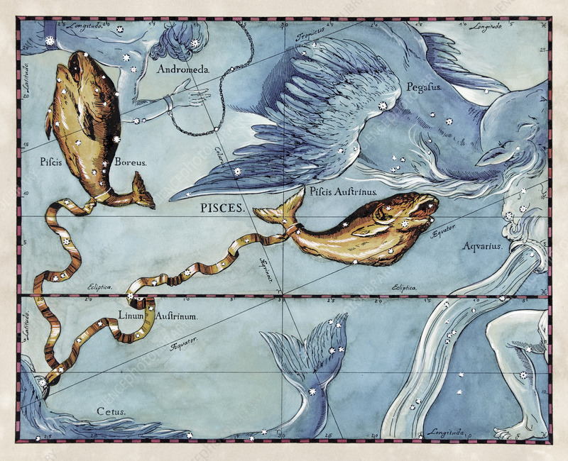 Pisces